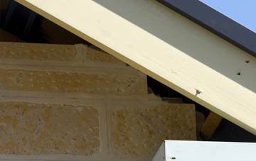 soffit repair Walmsgate