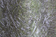 Walmsgate fibreglass roof work